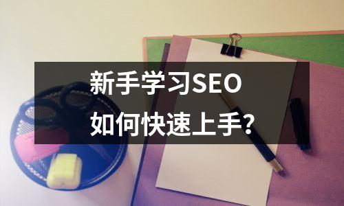 新手学习SEO如何快速上手?