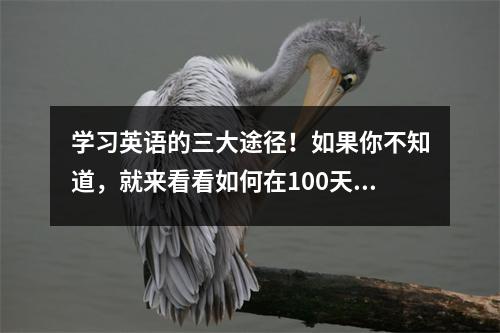 学习英语的三大途径!如果你不知道,就来看看如何在100天内通过6级