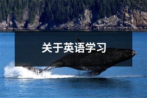 关于英语学习
