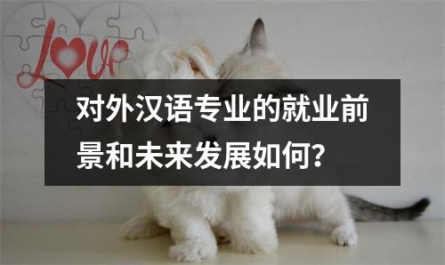 对外汉语专业的就业前景和未来发展如何?