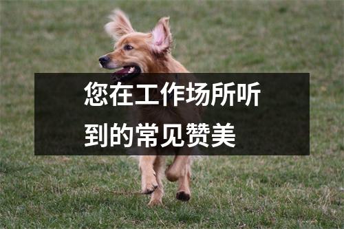 您在工作场所听到的常见赞美
