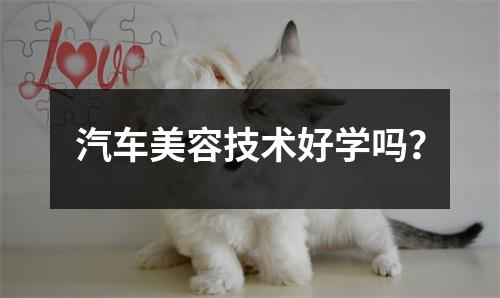 汽车美容技术好学吗?