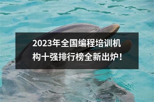 2023年全国编程培训机构十强排行榜全新出炉!