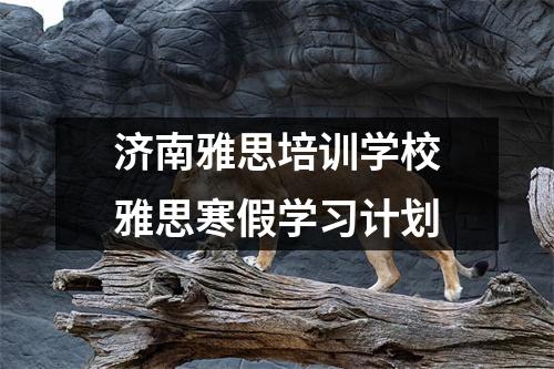 济南雅思培训学校雅思寒假学习计划