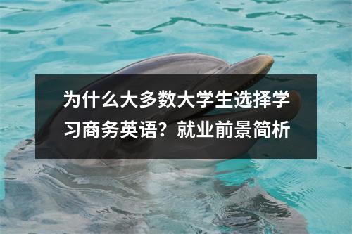 为什么大多数大学生选择学习商务英语?就业前景简析