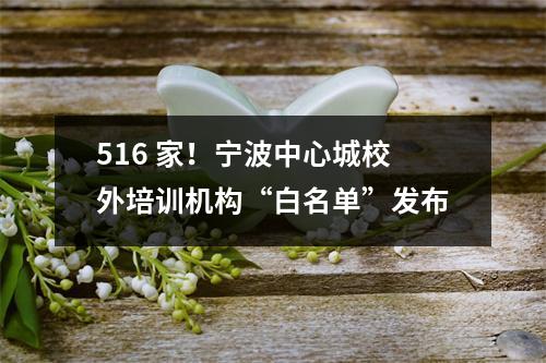 516 家!宁波中心城校外培训机构“白名单”发布