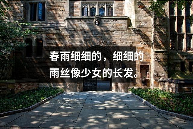 春雨细细的,细细的雨丝像少女的长发。