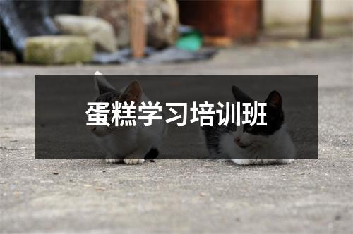 蛋糕学习培训班