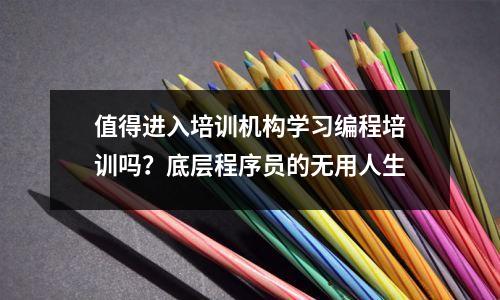 值得进入培训机构学习编程培训吗?底层程序员的无用人生