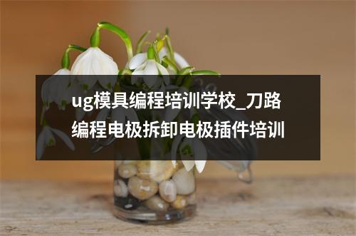 ug模具编程培训学校_刀路编程电极拆卸电极插件培训
