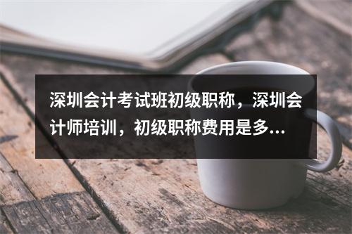 深圳会计考试班初级职称,深圳会计师培训,初级职称费用是多少