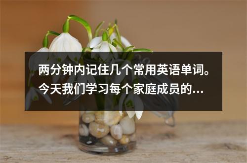 两分钟内记住几个常用英语单词。今天我们学习每个家庭成员的单词