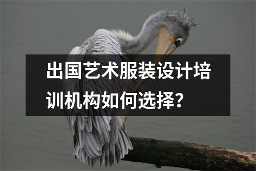 出国艺术服装设计培训机构如何选择?