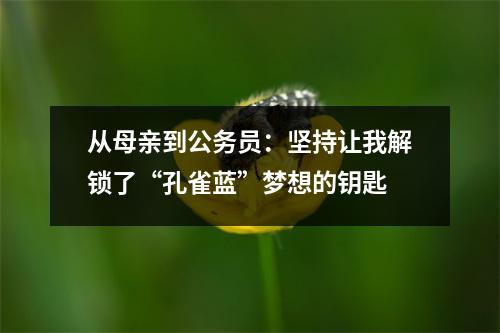 从母亲到公务员:坚持让我解锁了“孔雀蓝”梦想的钥匙