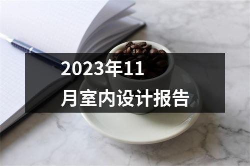 2023年11月室内设计报告