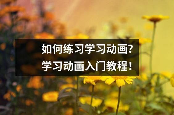 如何练习学习动画?学习动画入门教程!