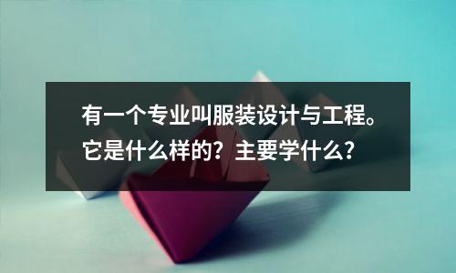有一个专业叫服装设计与工程。它是什么样的?主要学什么?