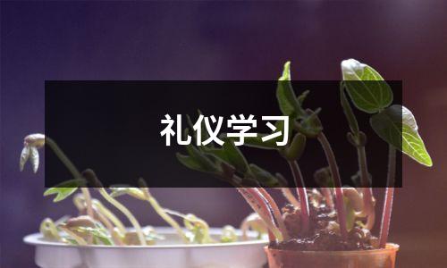 礼仪学习