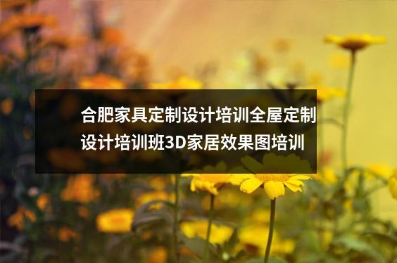 合肥家具定制设计培训全屋定制设计培训班3D家居效果图培训