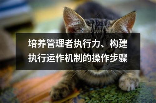 培养管理者执行力、构建执行运作机制的操作步骤