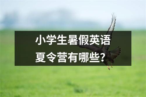 小学生暑假英语夏令营有哪些?