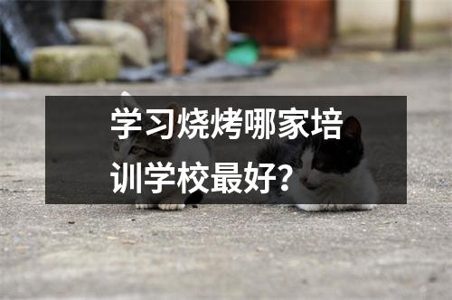 学习烧烤哪家培训学校最好?