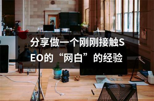 分享做一个刚刚接触SEO的“网白”的经验