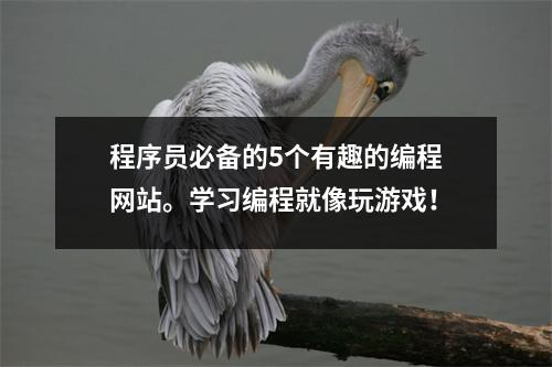 程序员必备的5个有趣的编程网站。学习编程就像玩游戏!