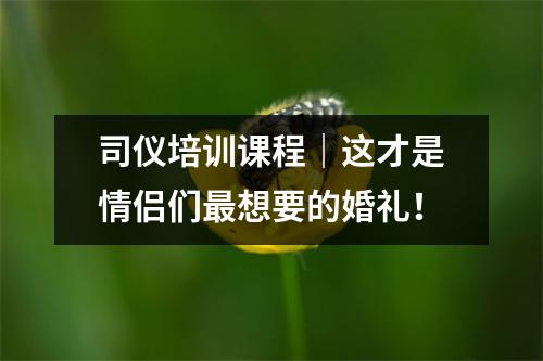 司仪培训课程|这才是情侣们最想要的婚礼!