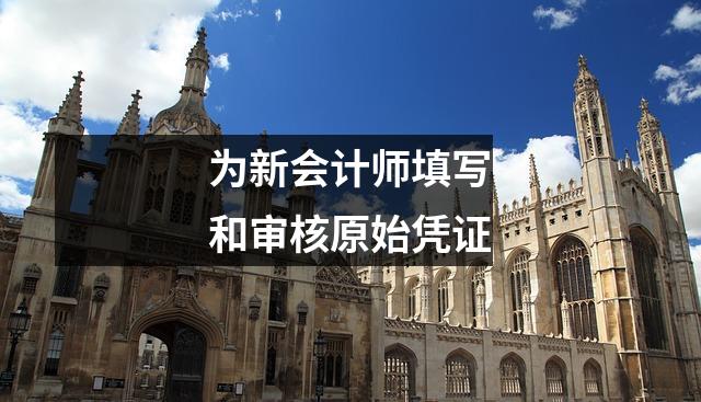 为新会计师填写和审核原始凭证