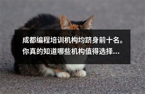 成都编程培训机构均跻身前十名。你真的知道哪些机构值得选择吗?