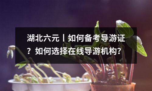 湖北六元丨如何备考导游证?如何选择在线导游机构?