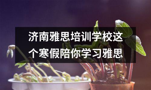 济南雅思培训学校这个寒假陪你学习雅思