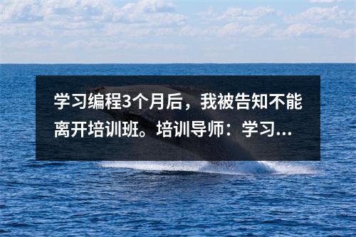 学习编程3个月后,我被告知不能离开培训班。培训导师:学习不好谁的错?