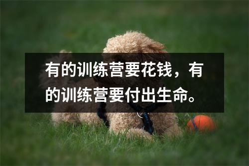 有的训练营要花钱,有的训练营要付出生命。