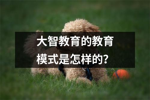 大智教育的教育模式是怎样的?