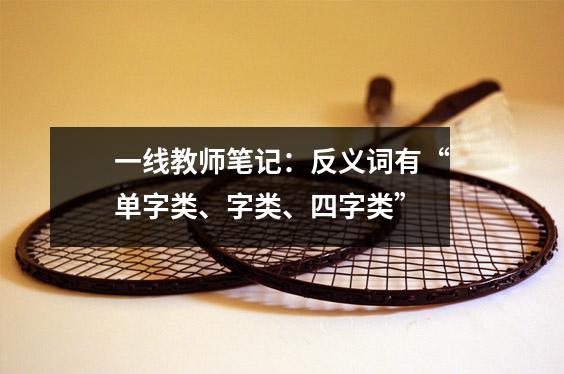 一线教师笔记:反义词有“单字类、字类、四字类”