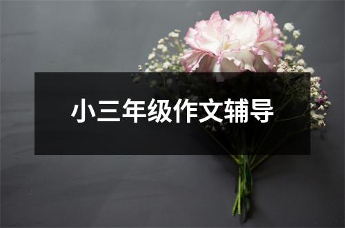 小三年级作文辅导