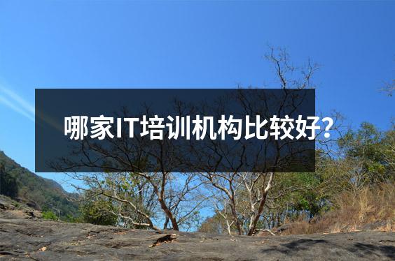 哪家IT培训机构比较好?