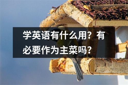 学英语有什么用?有必要作为主菜吗?