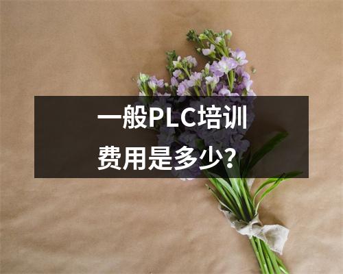 一般PLC培训费用是多少?