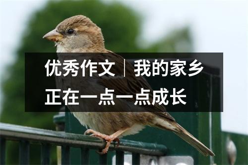 优秀作文|我的家乡正在一点一点成长