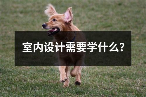 室内设计需要学什么?