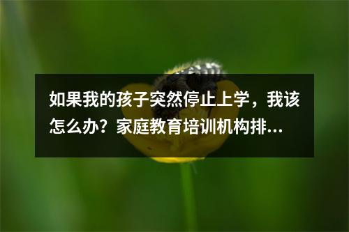 如果我的孩子突然停止上学,我该怎么办?家庭教育培训机构排名