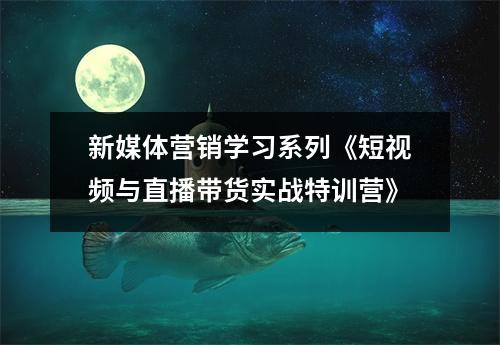 新媒体营销学习系列《短视频与直播带货实战特训营》