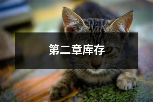 第二章库存
