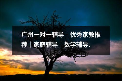 广州一对一辅导|优秀家教推荐|家庭辅导|数学辅导.