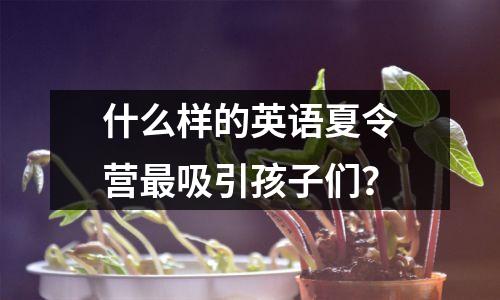 什么样的英语夏令营最吸引孩子们?