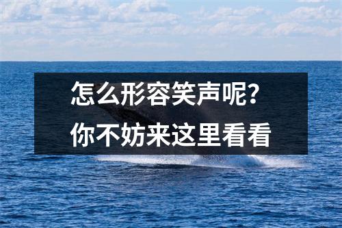怎么形容笑声呢?你不妨来这里看看
