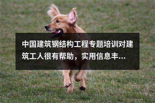 中国建筑钢结构工程专题培训对建筑工人很有帮助,实用信息丰富
